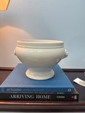 White Lions-head Planter