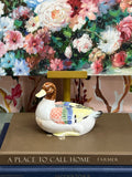 Colorful Duck